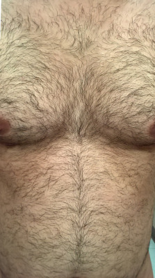 love-chest-hair:Is my chest any good for this subreddit …. http://bit.ly/1NPuFKl