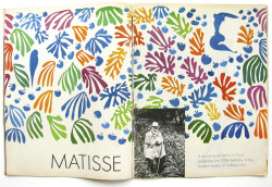 aubreylstallard:  Matisse 