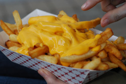 thefoodswag:  A disgustingly huge portion of cheese fries (by elaynam)  No&hellip;no. That&rsquo;s not huge at all. That&rsquo;s just the right size.