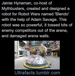 brunhiddensmusings:  torpidgilliver:  rocketverliden:  mickeydraws:  ultrafacts:  morwenpost:   ultrafacts:     Source Follow Ultrafacts for more facts     That sounds about right for Mythbusters.     - Blendo was put together before Mythbusters was a