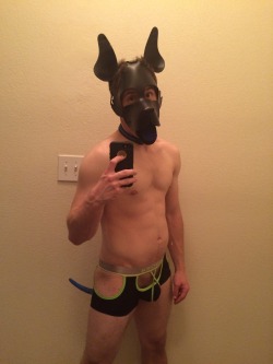 bdsmpetplay:  theblupup:  puparc:  Hey Tumblr, I’m Arc!! I’m a new pup around town and @PupBlu finally made to make a blog. I’m a bit of a gear pup so expect to see some pics of me in gear soon! ARF!!  Well guys, y’all asked and Alpha delivered.
