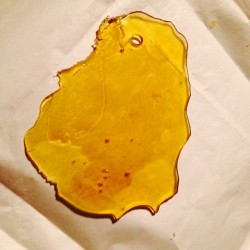 weedporndaily:  Big thanks to the homie @westcoastcure for the blob. Good luck! by askchubbs http://ift.tt/1nvErQq