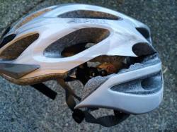 healthcare-anonymous: crazy-pages:  songersingwriterr:  pr1nceshawn: Why You Should Always Wear Your Helmet.  PSA: never put stickers on your helmets (unless you have checked with the manufacturer) because the adhesive can weaken the structure!  One day