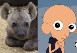 I feel like Sumo from Clarence is a human hyena