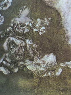 expressionism-art:Beatrice, 1960, Salvador Dali