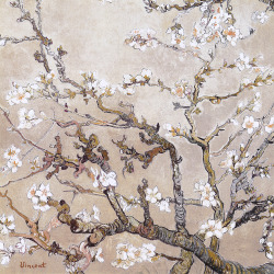 cinque-del-mattino:  Almond Branches In Bloom, San Remy | Vincent Van Gogh 