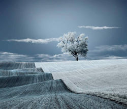 Surreal scenery (infrared photography)