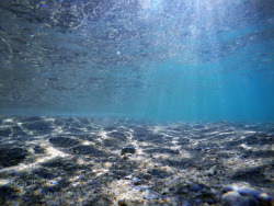 socialfoto:  Sun through Water Sun shinning through water - Great Barrier Reef by benamies 