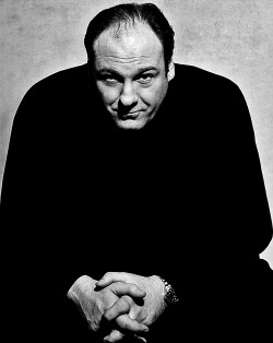 louisdreyfus:  RIP James Gandolfini (September 18, 1961 - June 19, 2013)  Okay this is really, really sad. But as I was looking at this Demi Lovato started singing &ldquo;Heart Attack&rdquo; and I just