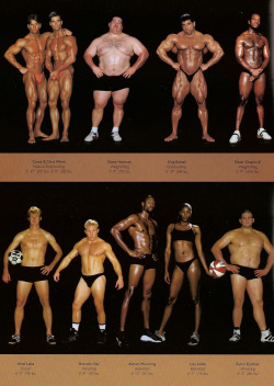 schweizercomics:  yamino:  thedragonflywarrior:  thedragonflywarrior:  The Body Shapes of the World’s Best Athletes Compared Side By Side  Health and fitness comes in all shapes and sizes. Every single one of these athletes is a certified bad-ass. 