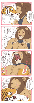 kirin-tiger:  雄っぱい