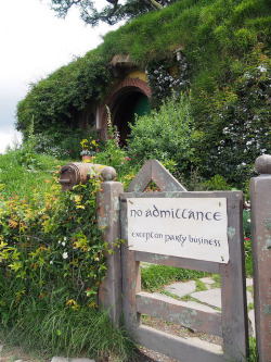 l0thl0rien:  hobbithouses:  Hobbiton  ◊~Enter this Middle Earth~◊ 