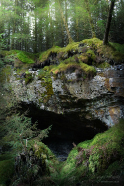 mydododied:Forest cavern