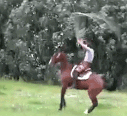 gif-guy:  ☆ ☆ Daily update Gif Blog ☆ ☆  That&rsquo;s fucking dope