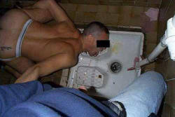 pigshouse:  That’s a good piss dog