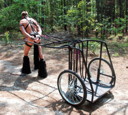 pony play maleslavetrainer:  Exercise and fresh air are a winning combination for the slave stallion. 