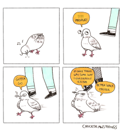 chuckdrawsthings:  veganthranduil:   chuckdrawsthings: do pigeons sometimes forget they can fly or what actually!! apparently it takes up a lot of energy to lift off, so to pigeons, humans are just not worth the bother   this is an excellent fact. we