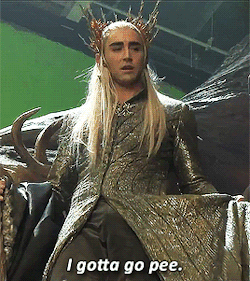 dwarfsmut:  antiela:  dwarfsmut:  thranduil on a daily basis  He looks like the Sims character XD  OMG SIM ERROR WHY IS INVISIBLE WALL BLOCKING? I HAVE TO PEE LET ME PEE I HAVE PEED I AM SO SAD NOW WHERE IS SHOWER WHY IS INVISIBLE WALL I AM SAD window?