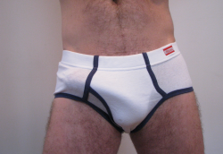 n2briefs69:  undie-fan-99:  Bulging in his white Hanes briefs  Never seen the contrast trim version of these Hanes briefs. I want one!!!!