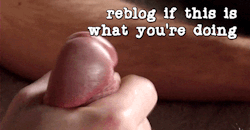 sissystable:  Are you doing this right now ? 