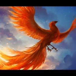 missjuengling:  “Phoenix Probably the best known mythical creature of the air, the Phoenix has its origins in ancient Egypt. The legend was developed further by Greek and Roman writers and by the compilers of medieval bestiaries.  Known in Egypt as