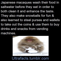 ultrafacts:  Sources: 1 2  Follow Ultrafacts for more facts 