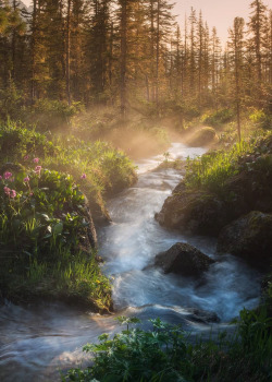 coiour-my-world:  “Where icy waters flow” | Ergaki mountains | Siberia || danielkordan