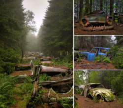 Abandonned cars cemetery in Belgium