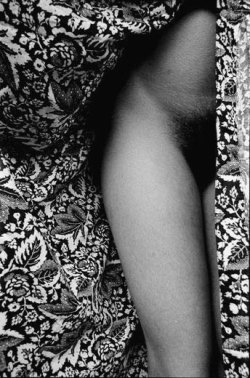 bellezanatural11:  &ldquo;Flowers&rdquo; from the photo essay Nudes by Nazak Pahlavi, 2003. Nazak Pahlavi was born in Tehran in 1958. She is the daughter of Hamid Reza Pahlavi, the brother of the former Shah. During the1978 revolution, she was studying