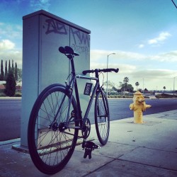 roadbikecity:  #StateBicycle #fixie #ExploreYourState  (at Road Bike City)
