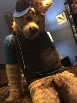 another-gay-yiff-blog-adult:  And here we have Daxter Dingo/ LittlepuppyAD showing off! 😍😍Be sure to check out his Xtube &amp; TwitterTwitter - https://twitter.com/LittlePuppyADXtube - https://www.xtube.com/profile/daxterdingo-23489062