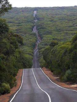 i-traveltheworld:  The road on Kangaroo Island﻿🗺️🌍 