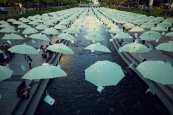 daebak-ymk:  Umbrellas over Cheonggyecheon, Seoul, South Korea 