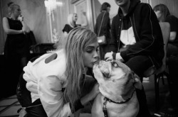 k-shaym:  chanelandceline:  t-inybones:  a-blackandwhitetime:  Cara (and Turbo) backstage at Mulberry LFW 2013  X  love herr  -