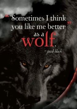 mysecretlife39:  peteandthewolf:  roxiedoubleds:  angel-fallen-not-broken:  ~ Go For The Wolf. He Eats You Better ~  peteandthewolf  This is fabulous thank you  OMG !!!!! Love this ;)