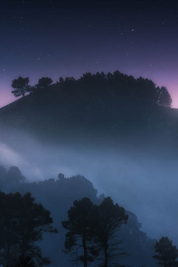 ponderation:  Foggy Sunrise by demiguel 