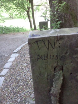 supergaygenes:  dyspraspie:  Graffiti written on a line of wooden posts.  Messages read: TW: Abuse; loving relationships can be abusive relationships; love is not all you need; what you need is to be safe from emotional, physical and sexual abuse; you