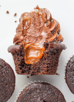 do-not-touch-my-food:    Dulce De Leche Chocolate Cupcakes  