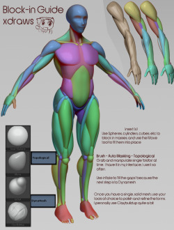 xdraws:  @hellochamah and a couple others asked about tackling muscles and stuff, this is the process I’ve grown fond of.  This isn’t the only way to do it, you can use zSpheres, or make a base mesh in another program, but I’ve grown fond to just