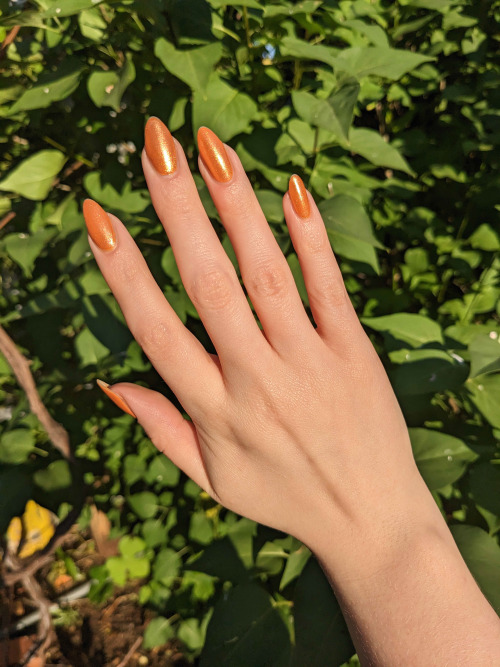 sergle:  nailposting time: i’ve been fiending for a goldenrod color, but i also can’t be spending money right now, so i mixed one up custom. and she is beautiful