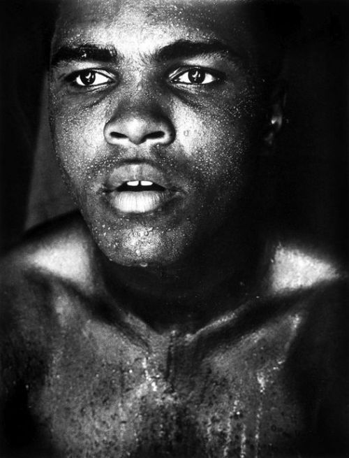 Muhammad Ali photographed by Gordon Parks Nudes &amp; Noises  