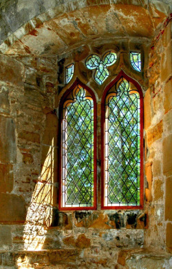 enchantedengland:     Medieval window in Battle Abbey, East Sussex (jayne on besttravelphotos.me)   Ancient abbeys are like crack to me you see  #oh let the sun shine in those glorious mullioned diamond-paned Tudor windows #I must live in the ruins