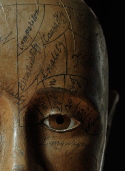 Phrenology head, by unknown wood carver, ca. 1870