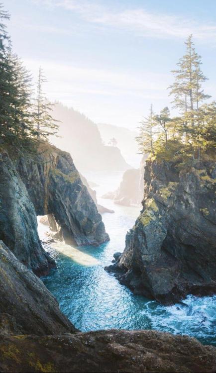 amazinglybeautifulphotography:  Beautiful Oregon view [2340x4032] [OC] - Author: Chanlyx on reddit