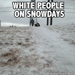 brooklynmademe:  thegoddamazon:  viiximcmxc:  madeupmonkeyshit:  White people on snowdays vs Black people on snowdays  Lmfao  So accurate. LOL.  Trufax 
