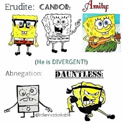 clarabelle220:  QOTD: What faction are you? AOTD: AMITY!!!! (Aptitude test approved ;D AHHG STILL HAVENT SEEN IT YET!!!!! Love you, dearies! #divergent #divergentfunny #amity #dauntless #erudite #abnegation #candor #insurgent #allegiant (at WHAT FACTION