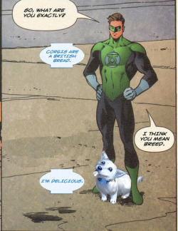 ppdk:  doclithius:  lizawithazed:  player-offline:  Hope Corgi is my favorite comic book character.  blue lanterns are the best lanterns  Hope Corgi is my new favorite Lantern!  Bread  &hellip;OwO How have I not heard about this cutie?? Hope Corgi needs