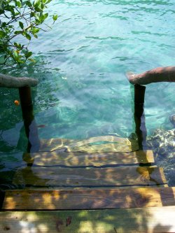 sneakyfeets:  angry-shaman:  sneakyfeets:  ill-icarus:  sneakyfeets:  metztlixochitl:  Our little house in El Salvador has steps like this leading into the ocean :3 when the tide is low, you can step down onto the beach. When the tide is high, you can
