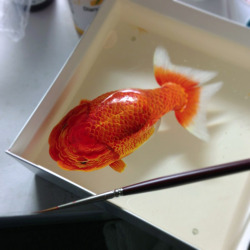kikiichu:  pettyartist:  f-a-g-i-n-a:   Keng Lye - Alive without Breath (2013) - Hyperrealistic sea animals created using acrylics and epoxy resin, layer by layer  what  I will reblog this artist’s works every time it comes on my dash omfg  No fucking