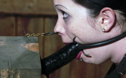 bondagebrat007:this is hot! forced blowjob training with no way to get it out of your throat